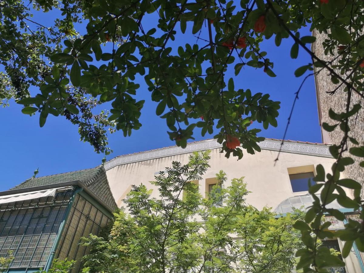 Villa Sainte Marie Narbona Zewnętrze zdjęcie